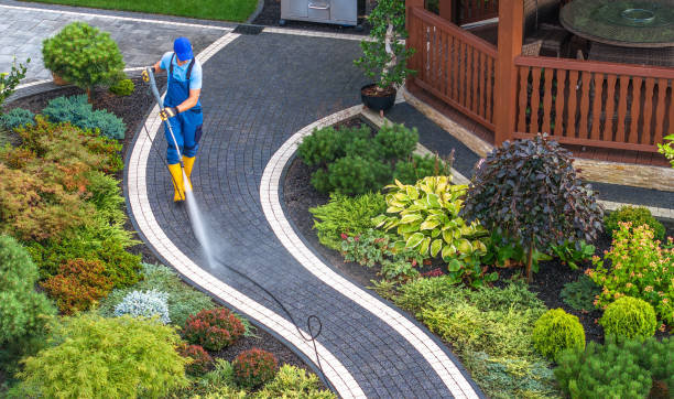 Best Power Washing Near Me  in Walnut Creek, NC